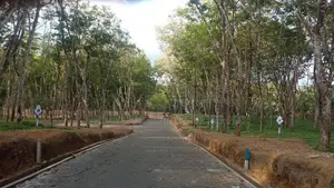 අහ‍ංගම සංචාරක කලාපයෙන් බිම් කොටස් විකිණීමට