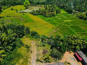 Land for sale in Horana / RU 14942