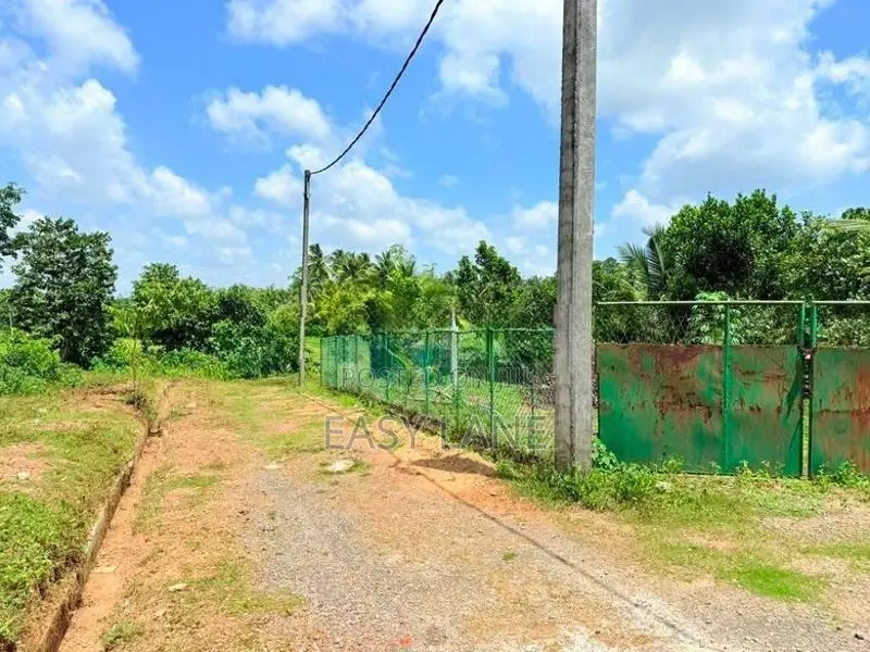 Land for sale in Horana / RU 14942