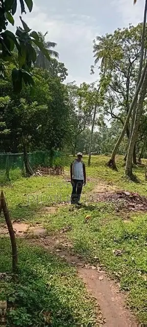 Land for Sale in Katana