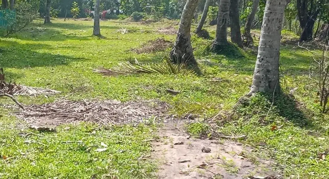 Land for Sale in Katana