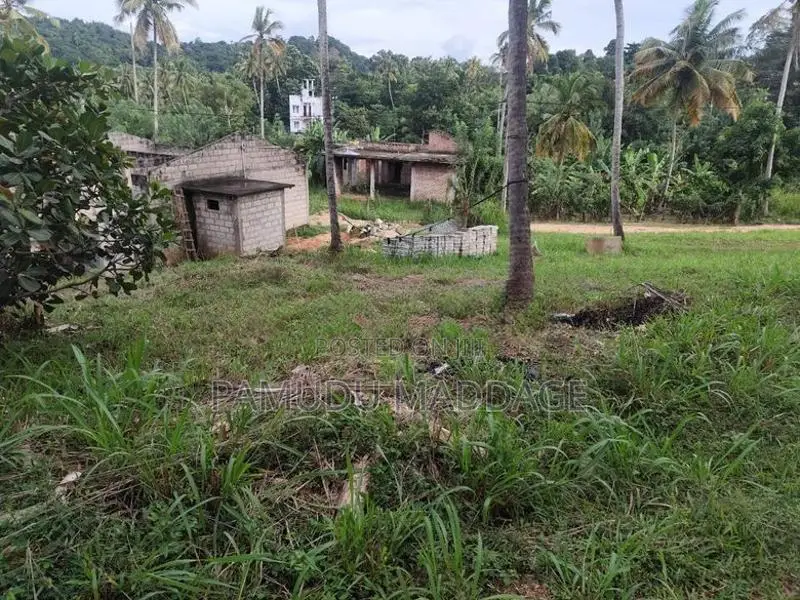 කුරුණෑගලින් වටිනා ඉඩමක් විකිණීමට