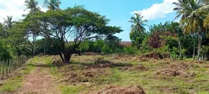 Land for Sale in Kammala, Waikkala