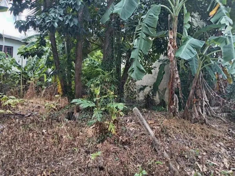 Top Land for Sale Boralesgamuwa