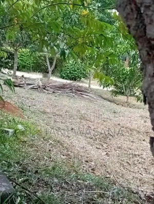 Land for Sale Monaragala