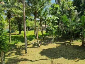 යක්කල ලයිසියම් එක ලගින් වටිනා ඉඩමක් / SA 11022