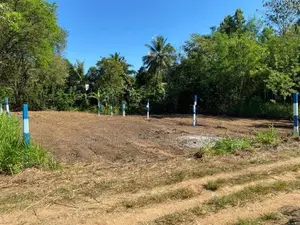 පර්චස් 22ක ඉඩමක් විකිණීමට වැල්ලවාය