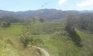 Land for Sale in Nuwara Eliya
