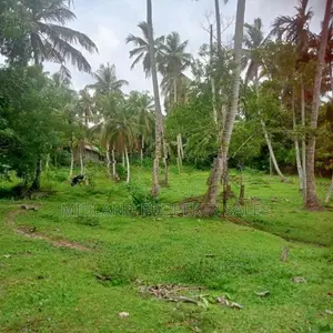 වට්නා පොල් පලදාව සහිත ඉඩමක් විකිනීමට