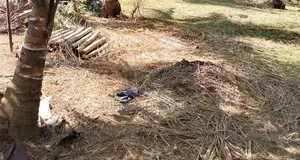 Flat Land Sale in Polgahawela