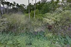Land for Sale in Pitawala