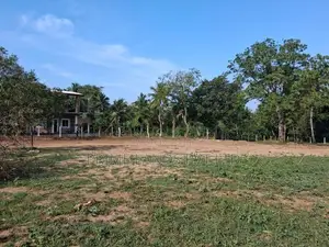 දඹුල්ල නුවර පාරට නුදුරින් සින්නක්කර බිම්කොටසක්