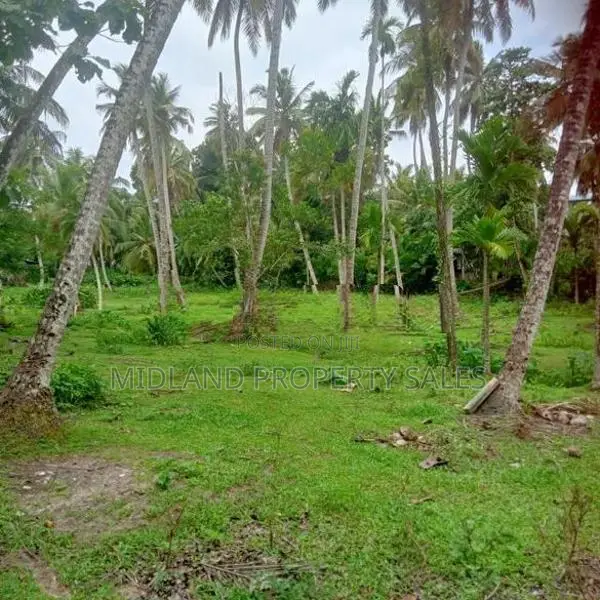 වට්නා පොල් පලදාව සහිත ඉඩමක් විකිනීමට