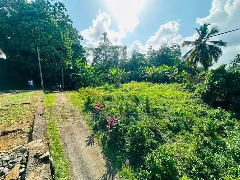 ( YS-1132) Valuable Residential Bare Land Sale in Homagama