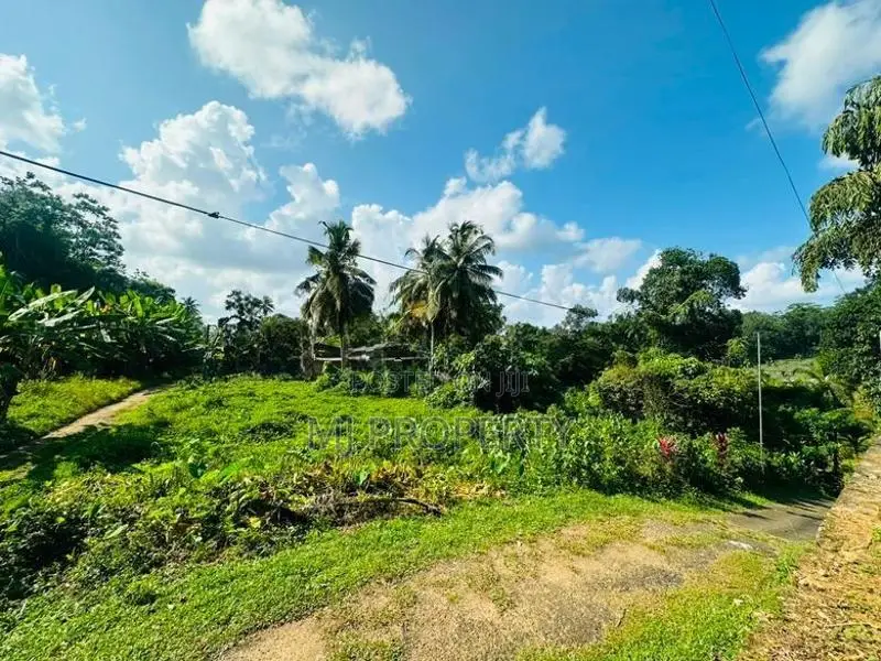 ( YS-1132) Valuable Residential Bare Land Sale in Homagama