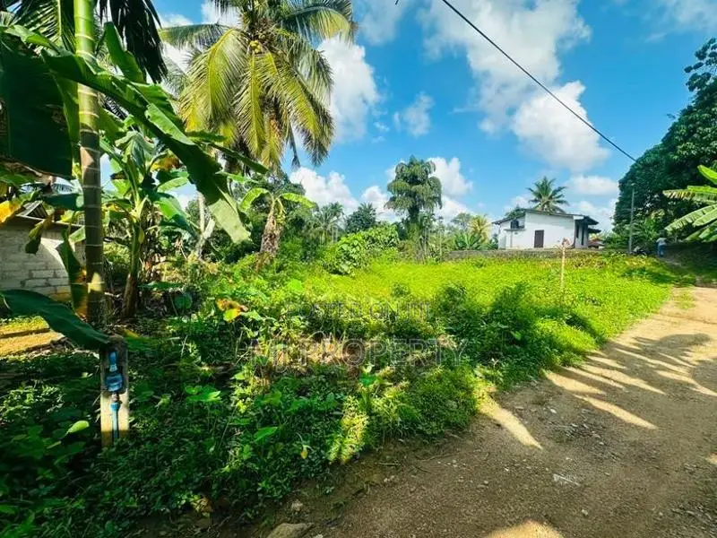 ( YS-1132) Valuable Residential Bare Land Sale in Homagama