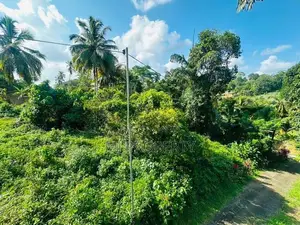 ( YS-1132) Valuable Residential Bare Land Sale in Homagama