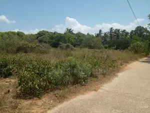 Land For Sale Thalaraba Mirissa