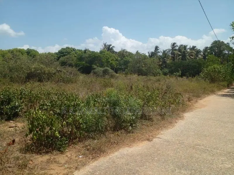 Land For Sale Thalaraba Mirissa