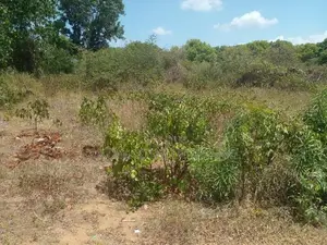 Land For Sale Thalaraba Mirissa