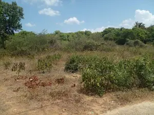 Land For Sale Thalaraba Mirissa