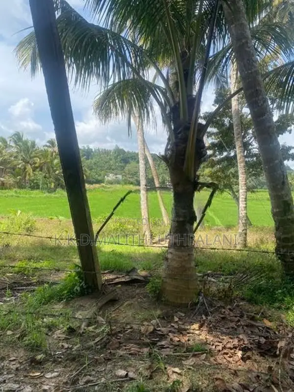 Land For Sale Thalaraba Mirissa