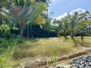ගාල්ල උඩුගම බස් පාරට ලගින්ම බිම් කොටස්