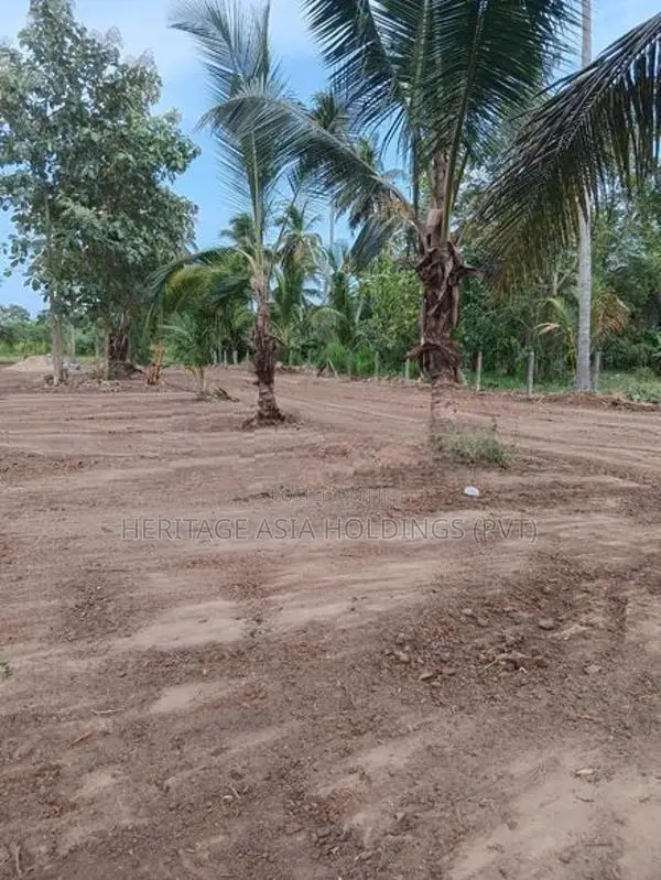 අනුරාධපුර සින්නක්කර බිම් කොටස්