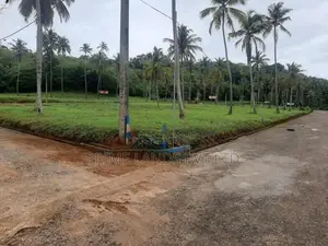 නාරම්මලින් සුපිරි ඉඩමක්