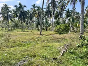 Coconut Land for Sale Makandura