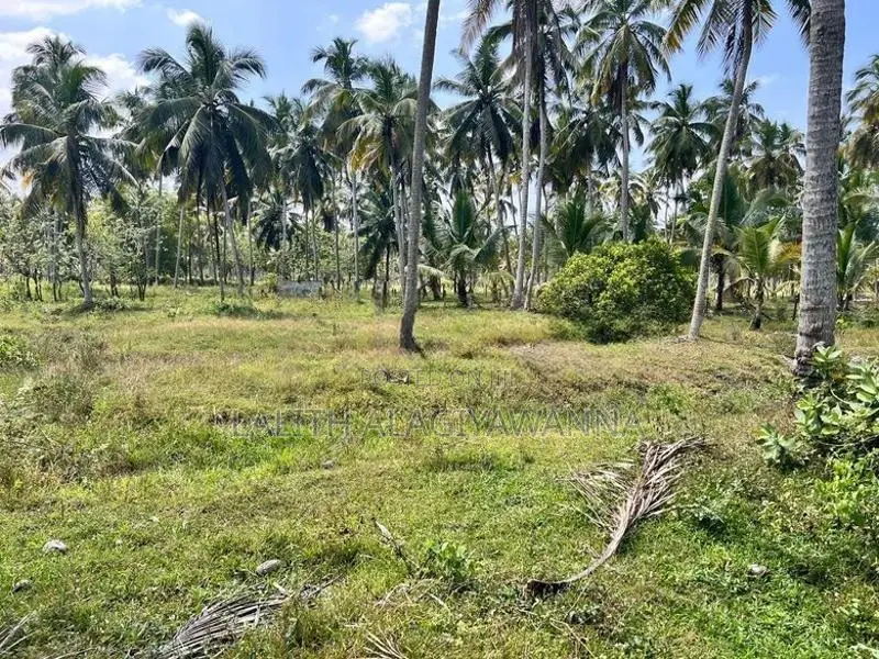 Coconut Land for Sale Makandura