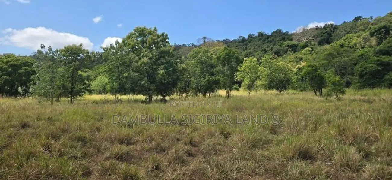 Land for Sale in Dambulla