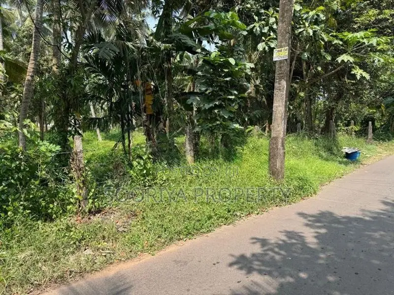 Commercial Residential Superb Land for Sale in Piliyandala