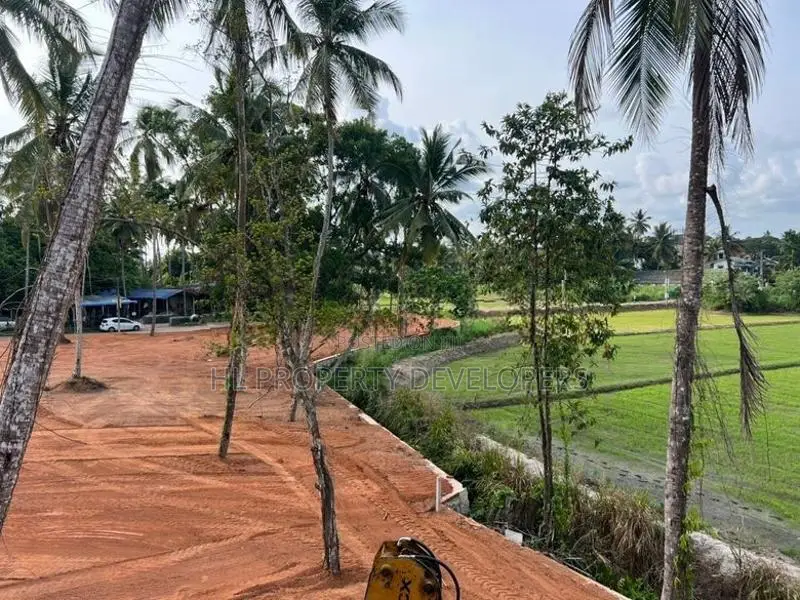 වේයන්ගොඩ සුන්දර වෙල් යායකට මුහුණලා ඉඩමක්