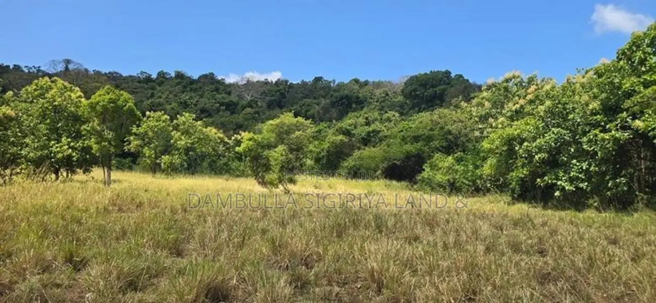 Land for Sale in Dambulla