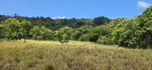 Land for Sale in Dambulla