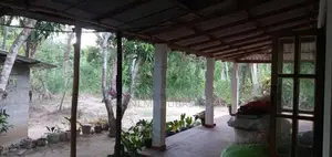 House with Land for Sale මොනරාගල