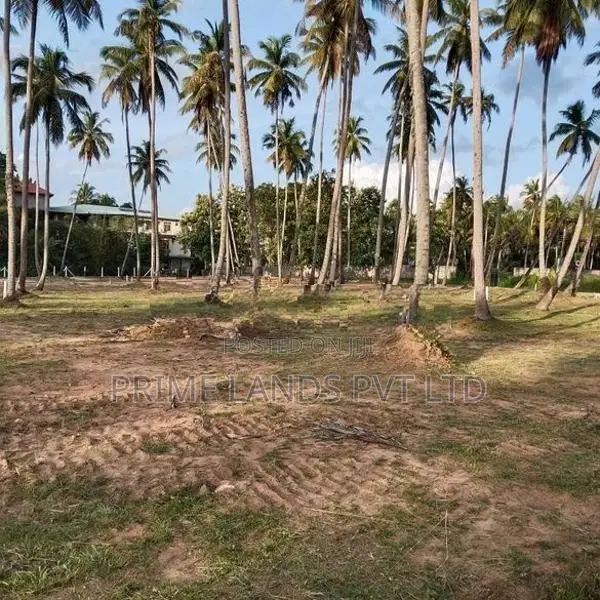 පැල්ලන්දෙණිය හන්දියෙන්ම සුපිරි ඉඩමක්