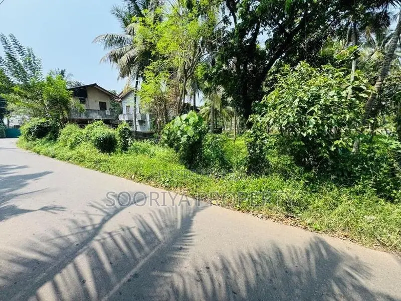 Commercial Residential Superb Land for Sale in Piliyandala