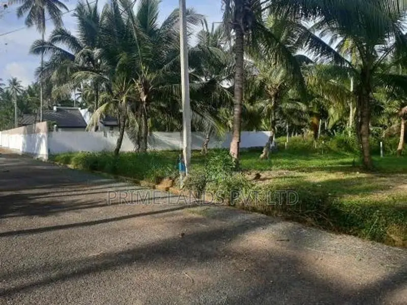නාරම්මලින් සුපිරි ඉඩමක්