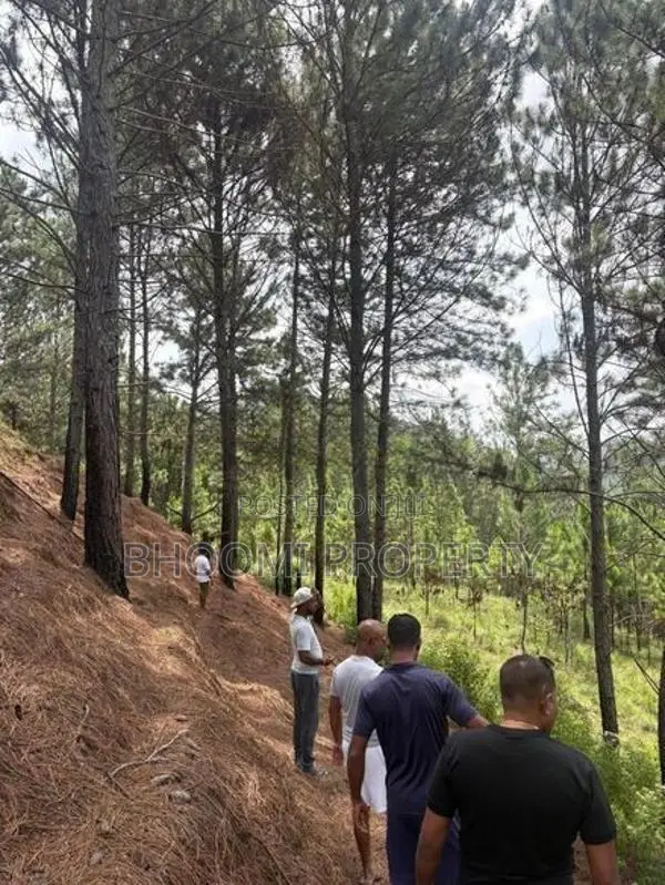 ඇල්ල අගනා බිම් කොටස්