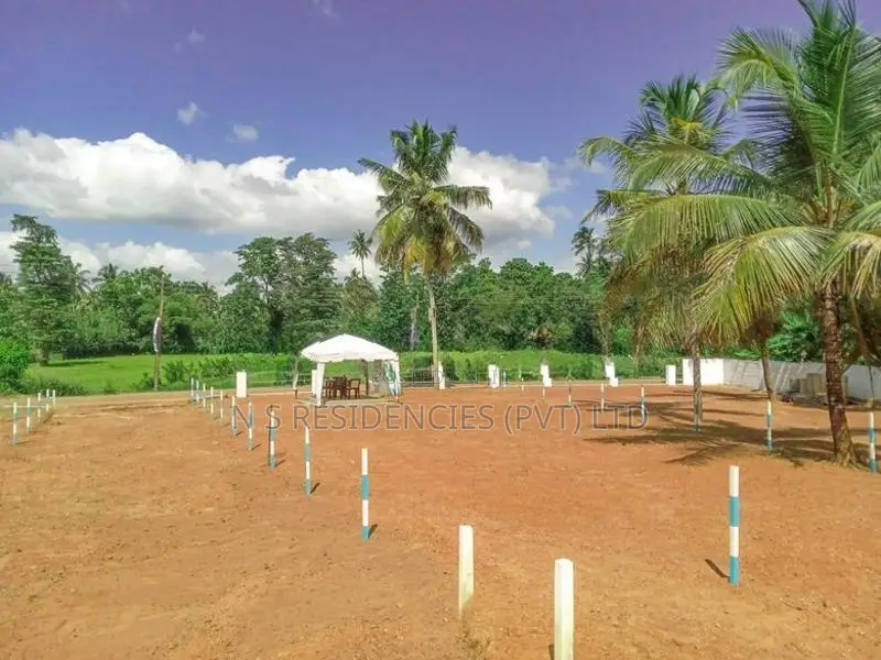 Residential Land for Sale Dambadeniya
