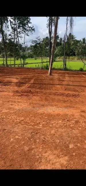 වේයන්ගොඩ සුන්දර වෙල් යායකට මුහුණලා ඉඩමක්