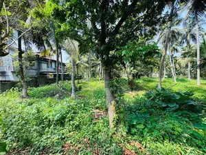 Commercial Residential Superb Land for Sale in Piliyandala