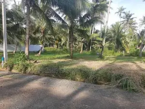 නාරම්මලින් සුපිරි ඉඩමක්