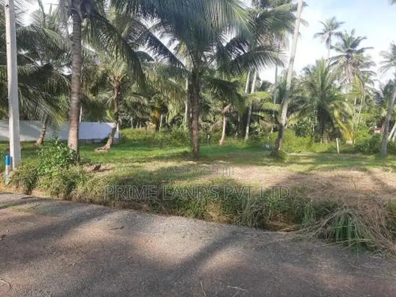 නාරම්මලින් සුපිරි ඉඩමක්