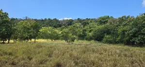Land for Sale in Dambulla