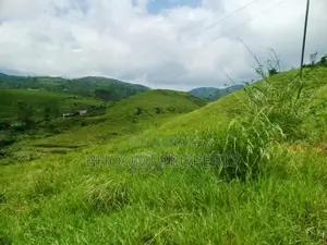 හැටන් – වටවල දර්ශනීය කඳුකර ඉඩම් විකිණීමට