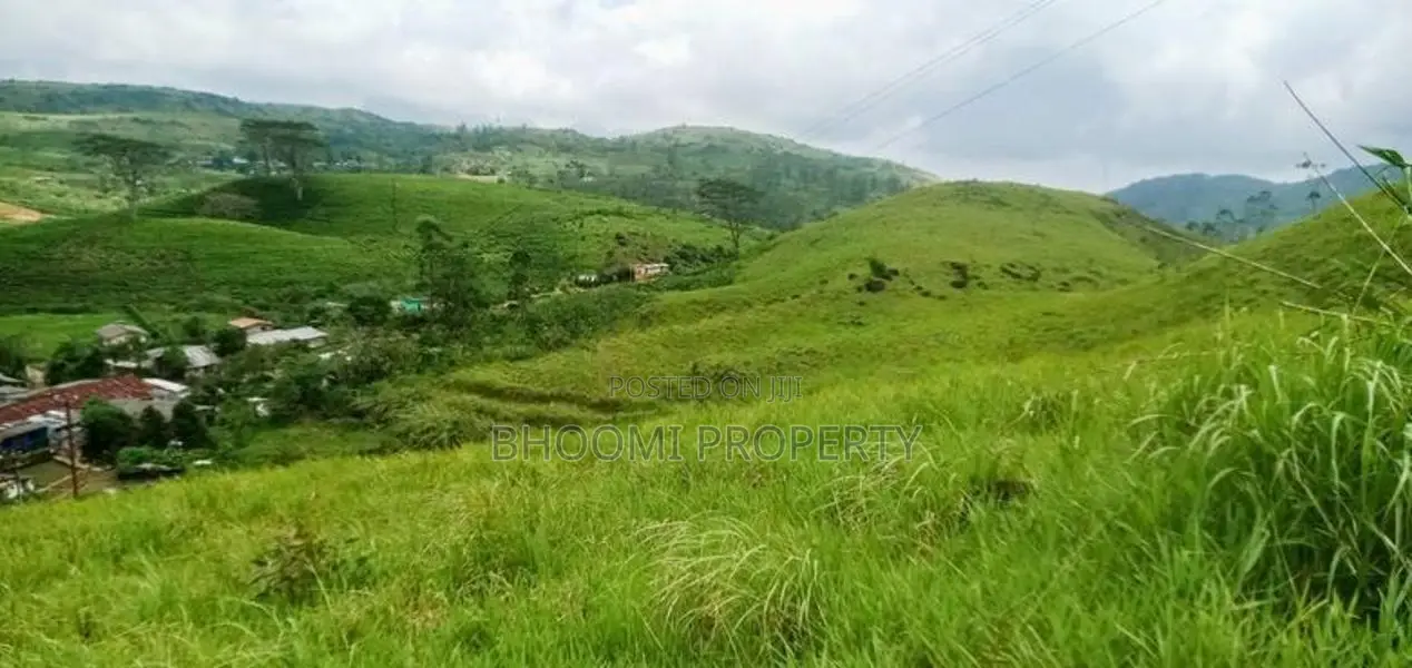 Scenic Hill Country Land for Sale – Hatton