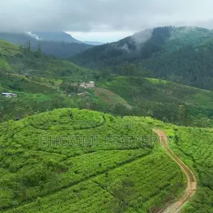 හැටන් – වටවල දර්ශනීය කඳුකර ඉඩම් විකිණීමට